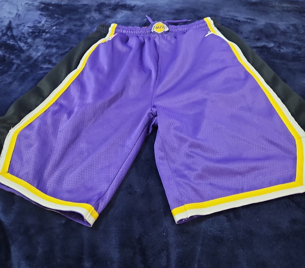 Jordan Purple Basketball Shorts with Gold & White Trim
